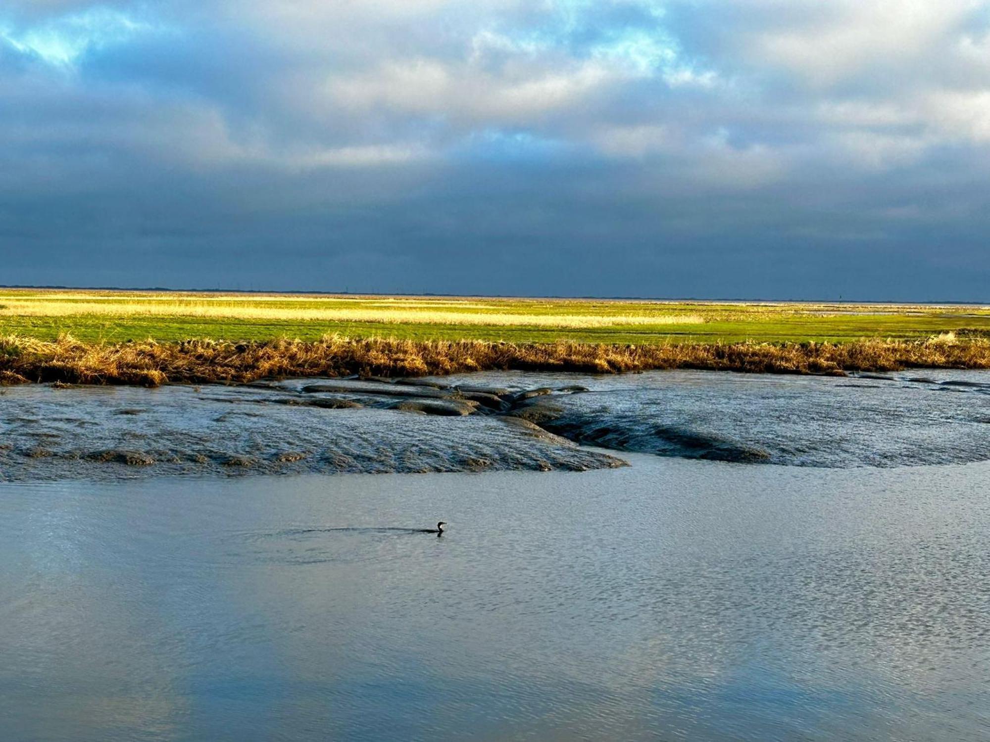 AAR Nordsee Appartement Varel Buitenkant foto